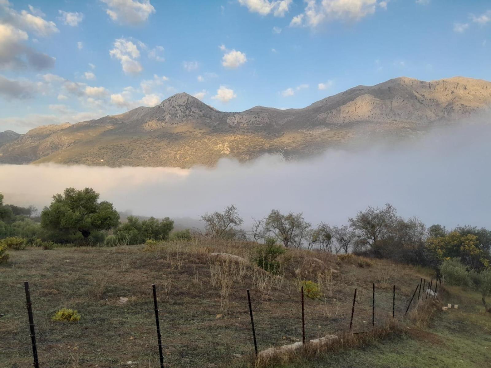 El Higueron Chalé